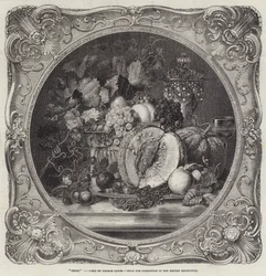 Fruit